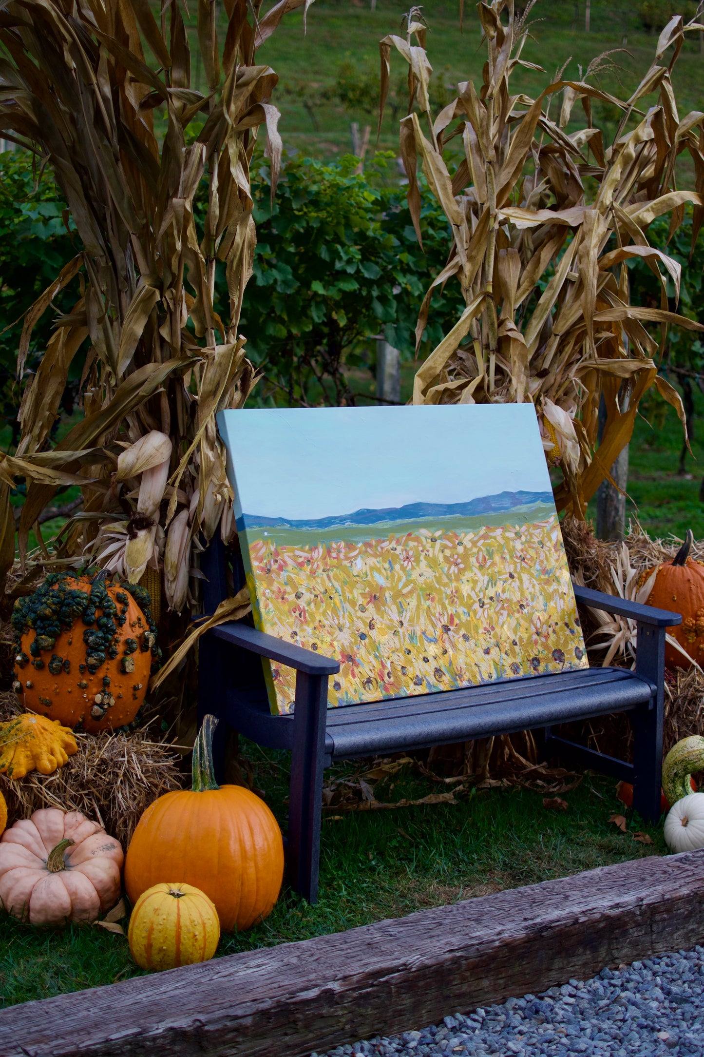 Somewhere Over The Sunflowers 30x40